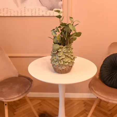 Apartamento The Charms- Near Radisson Bucarest